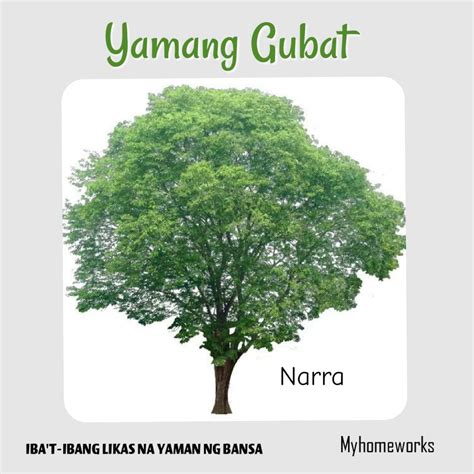 nag-iiyutan|May nag iiyutan sa gubat in English with examples .